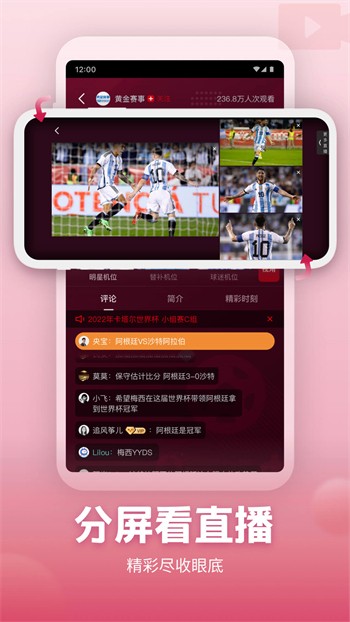 tiktok国际版色板app最新版下载