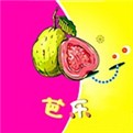 992tv影视安装包下载入口