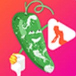 蕾丝视频app最新版