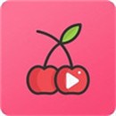 午夜播放器安装包下载入口