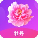 加藤视频手机版在线下载