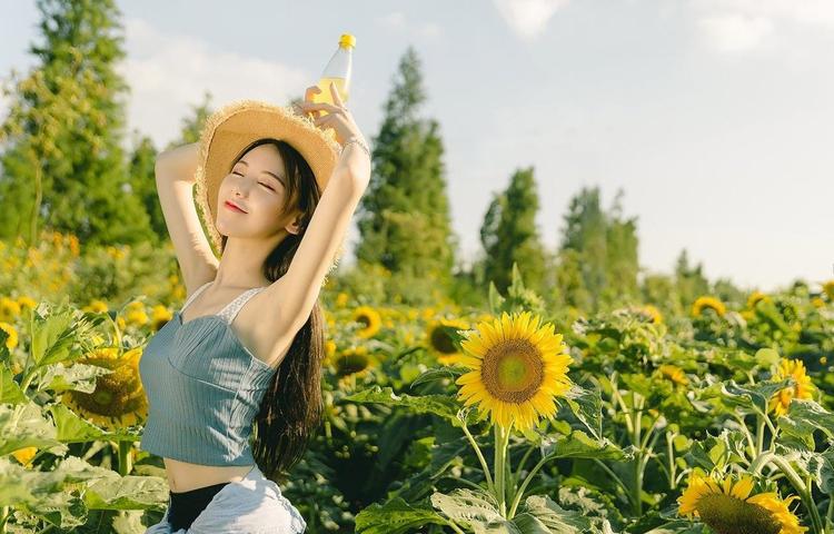 网络文学行业的规范与责任