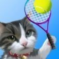 猫咪网球冠军免费手游app安卓下载